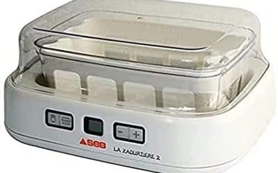 Test Seb YG500100 yaourtière Duetto performante et programmable