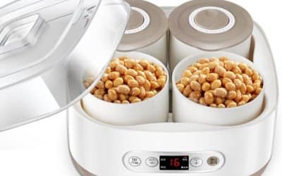 Test de la yaourt natto machine 1.5L : fermentation intelligente en cuisine